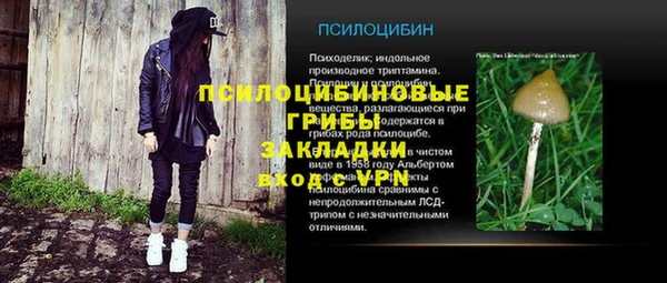 ECSTASY Алзамай