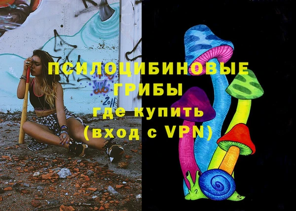 ECSTASY Алзамай