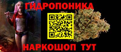 шишки Ирбит