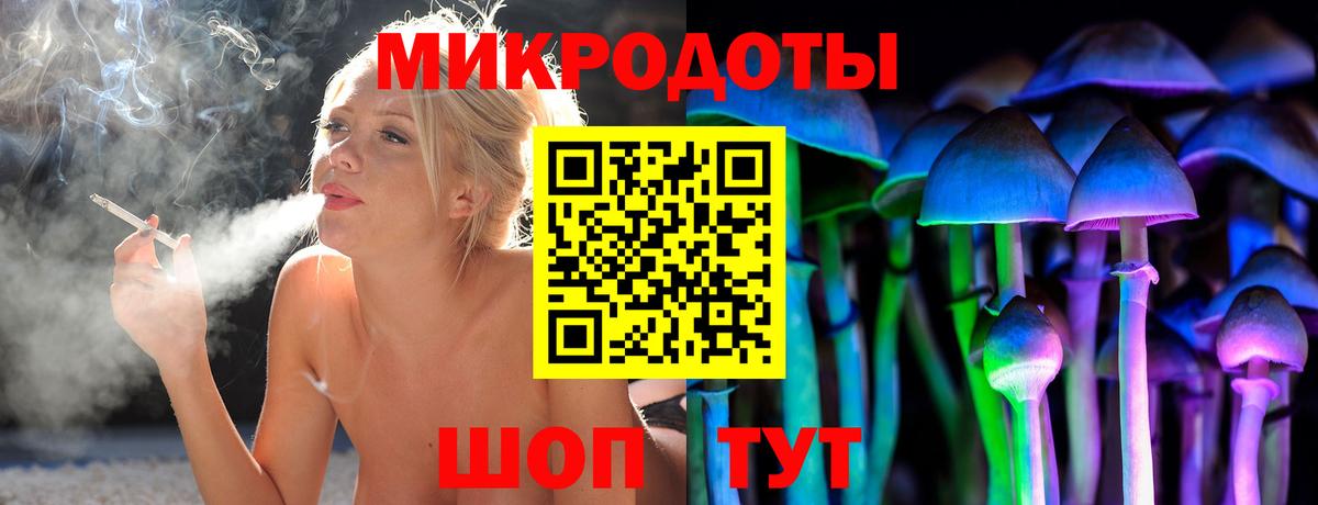 Бошки Шишки Сорочинск