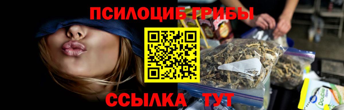 Псилоцибиновые грибы Psilocybe Сорочинск